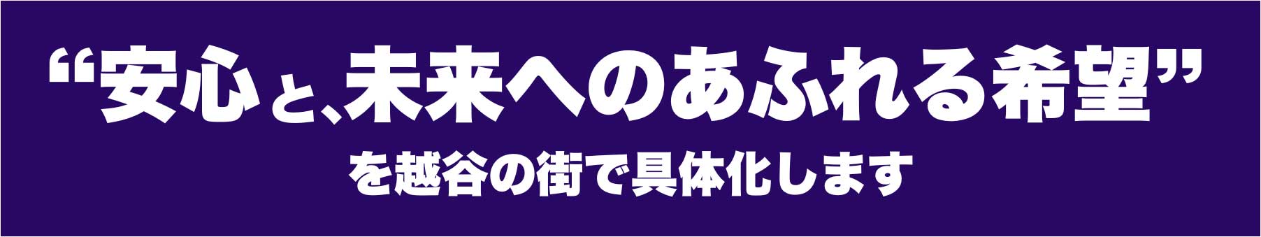 橋本けんと（埼玉県議会議員補欠選挙候補）の政策